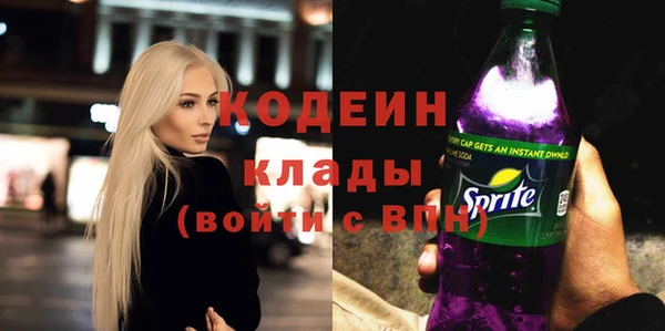 гашик Козельск