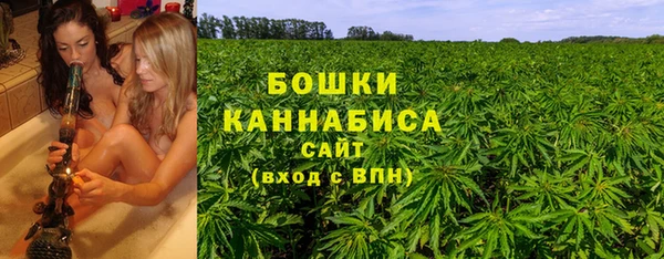 гашик Козельск
