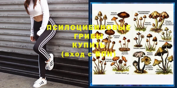 марки lsd Кодинск