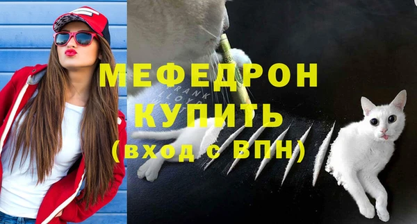 гашик Козельск