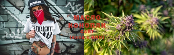 гашик Козельск