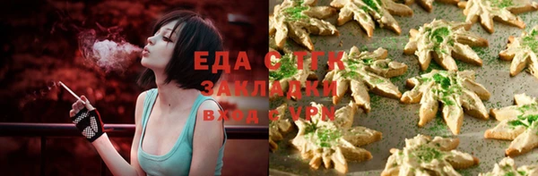 гашик Козельск