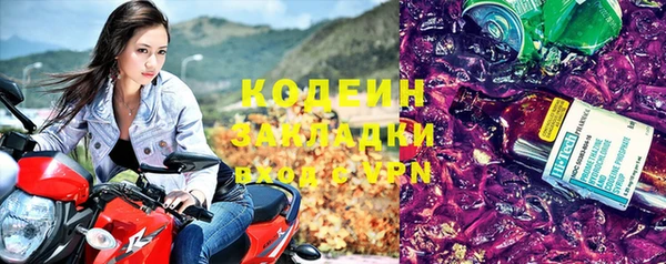 гашик Козельск