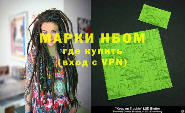 гашик Козельск
