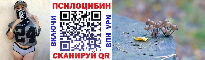 Псилоцибиновые грибы мухоморы  Камышин 